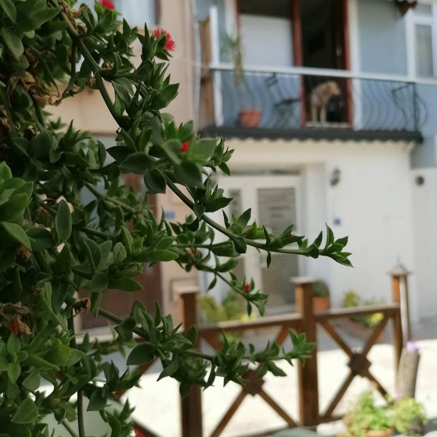 Hotel ムダンヤ エクステリア 写真